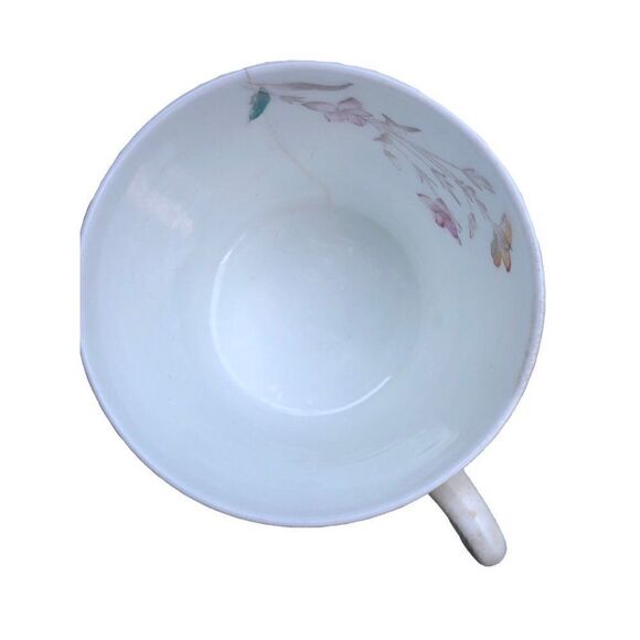 Antique W.A.A. William A Adderley bone China cup and saucer  THORN Birds - Picture 3 of 9